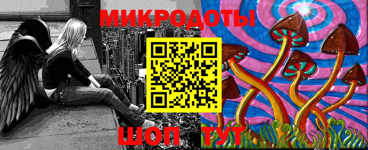 Псилоцибиновые грибы мицелий Долгопрудный