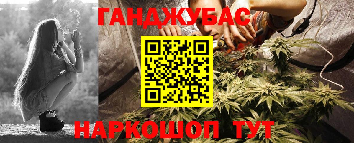 Конопля план Долгопрудный